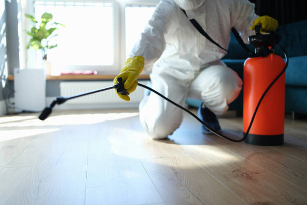 Reliable Odor Removal contractor in Columbus, GA by Trauma Clean Pros